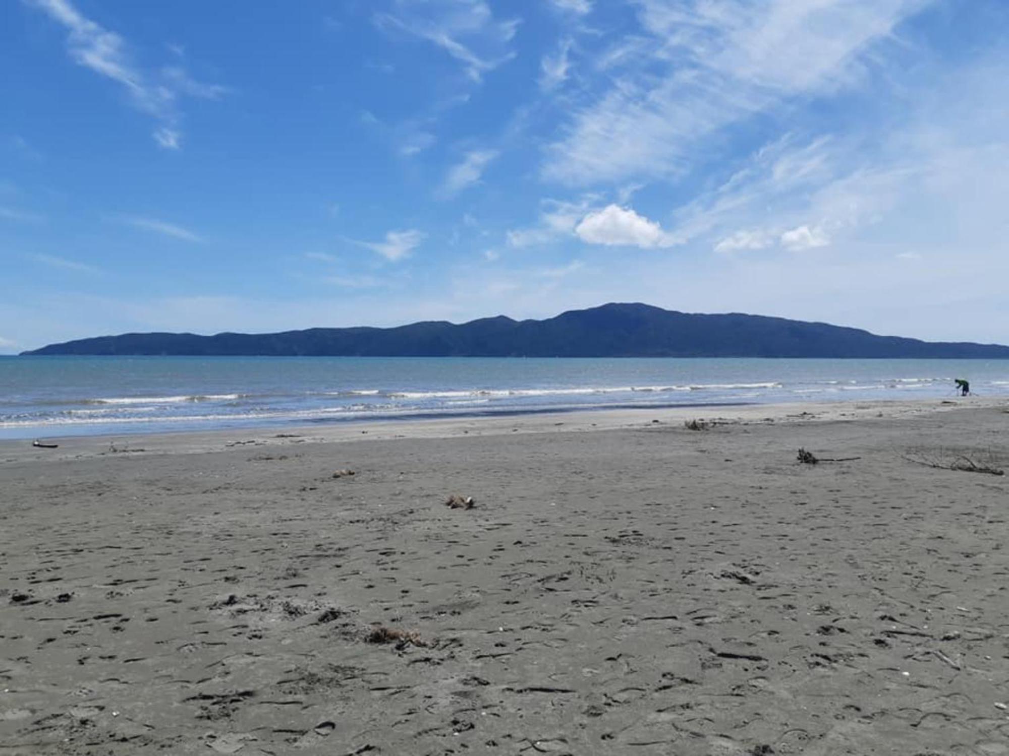 Raumati Guest House Paraparaumu Eksteriør bilde