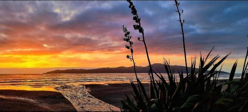 Raumati Guest House Paraparaumu Eksteriør bilde